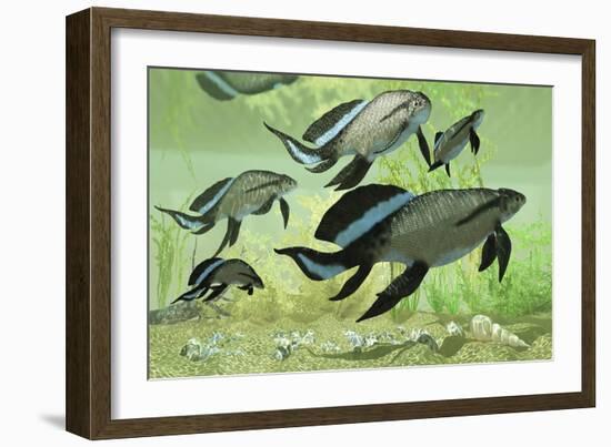 A Group of Scaumenacia Lobe-Finned Fish from the Devonian Period-null-Framed Art Print