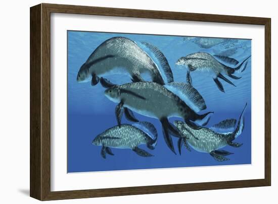 A Group of Scaumenacia Lobe-Finned Fish from the Devonian Period-null-Framed Art Print