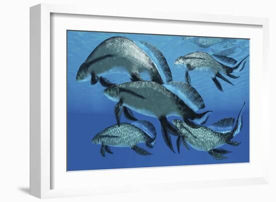 A Group of Scaumenacia Lobe-Finned Fish from the Devonian Period-null-Framed Art Print