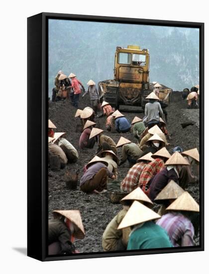 A Group of Scavenger Coal Workers-null-Framed Stretched Canvas