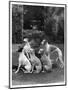A Group of Seagift Whippets around a Fountain. Owned by Whitwell-null-Mounted Photographic Print