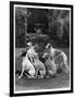A Group of Seagift Whippets around a Fountain. Owned by Whitwell-null-Framed Photographic Print