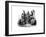 A Group of Sioux Indians, 1872-null-Framed Giclee Print