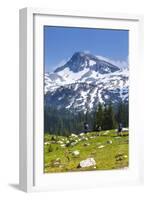 A Group Of Three Backpackers Hike Along The East Fork Lostine River Trail #1662-Ben Herndon-Framed Photographic Print