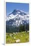 A Group Of Three Backpackers Hike Along The East Fork Lostine River Trail #1662-Ben Herndon-Framed Photographic Print