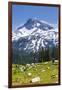 A Group Of Three Backpackers Hike Along The East Fork Lostine River Trail #1662-Ben Herndon-Framed Photographic Print