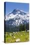 A Group Of Three Backpackers Hike Along The East Fork Lostine River Trail #1662-Ben Herndon-Stretched Canvas