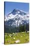 A Group Of Three Backpackers Hike Along The East Fork Lostine River Trail #1662-Ben Herndon-Stretched Canvas