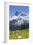 A Group Of Three Backpackers Hike Along The East Fork Lostine River Trail #1662-Ben Herndon-Framed Photographic Print