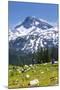 A Group Of Three Backpackers Hike Along The East Fork Lostine River Trail #1662-Ben Herndon-Mounted Photographic Print