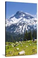 A Group Of Three Backpackers Hike Along The East Fork Lostine River Trail #1662-Ben Herndon-Stretched Canvas