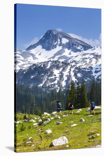 A Group Of Three Backpackers Hike Along The East Fork Lostine River Trail #1662-Ben Herndon-Stretched Canvas