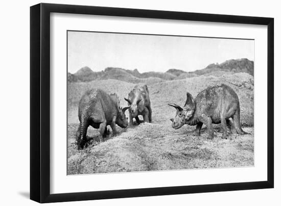 A Group of Triceratops, 20th Century-null-Framed Giclee Print