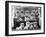 A Group of Twelve Braeduke Tibetan Spaniels Sit for a Group Photograph. Owned by Wynyard-null-Framed Photographic Print