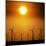 A Group of Wind Turbines are Silhouetted by the Setting Sun-Charlie Riedel-Mounted Photographic Print