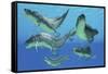 A Group of Xenacanthus Prehistoric Sharks-null-Framed Stretched Canvas