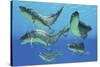 A Group of Xenacanthus Prehistoric Sharks-null-Stretched Canvas