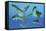 A Group of Xenacanthus Prehistoric Sharks-null-Framed Stretched Canvas