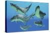 A Group of Xenacanthus Prehistoric Sharks-null-Stretched Canvas