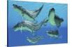 A Group of Xenacanthus Prehistoric Sharks-null-Stretched Canvas