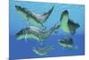 A Group of Xenacanthus Prehistoric Sharks-null-Mounted Art Print