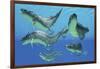 A Group of Xenacanthus Prehistoric Sharks-null-Framed Art Print