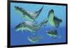 A Group of Xenacanthus Prehistoric Sharks-null-Framed Art Print