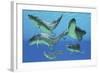 A Group of Xenacanthus Prehistoric Sharks-null-Framed Art Print