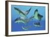 A Group of Xenacanthus Prehistoric Sharks-null-Framed Art Print