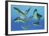 A Group of Xenacanthus Prehistoric Sharks-null-Framed Art Print