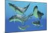 A Group of Xenacanthus Prehistoric Sharks-null-Mounted Art Print