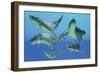 A Group of Xenacanthus Prehistoric Sharks-null-Framed Premium Giclee Print