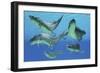 A Group of Xenacanthus Prehistoric Sharks-null-Framed Premium Giclee Print