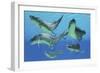 A Group of Xenacanthus Prehistoric Sharks-null-Framed Premium Giclee Print