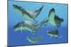 A Group of Xenacanthus Prehistoric Sharks-null-Mounted Premium Giclee Print