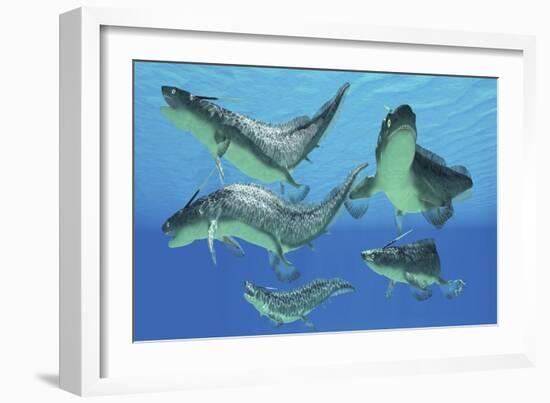 A Group of Xenacanthus Prehistoric Sharks-null-Framed Art Print