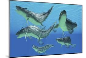 A Group of Xenacanthus Prehistoric Sharks-null-Mounted Art Print