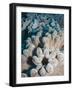 A Grouping of Leather Corals on the Reefs of Palau-Eric Peter Black-Framed Photographic Print