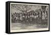 A Groups of Natives on the Relief Works at Deori Panagar, Near Jubbulpore-null-Framed Stretched Canvas