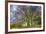 A grove of trees at Avebury, UK, a major Neolithic and medieval site.-Richard Wright-Framed Photographic Print