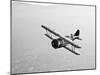 A Grumman F3F Biplane in Flight-Stocktrek Images-Mounted Photographic Print