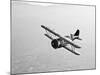 A Grumman F3F Biplane in Flight-Stocktrek Images-Mounted Photographic Print