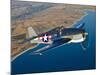 A Grumman F6F Hellcat Fighter Plane in Flight-Stocktrek Images-Mounted Photographic Print