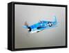 A Grumman F6F Hellcat Fighter Plane in Flight-Stocktrek Images-Framed Stretched Canvas