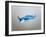 A Grumman F6F Hellcat Fighter Plane in Flight-Stocktrek Images-Framed Photographic Print