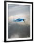 A Grumman F6F Hellcat Fighter Plane in Flight-Stocktrek Images-Framed Photographic Print