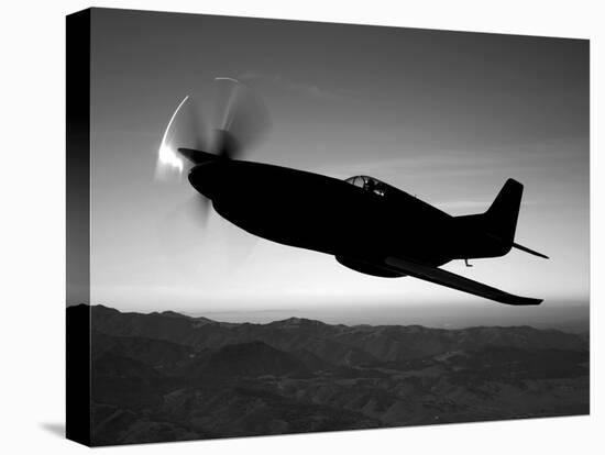 A Grumman F6F Hellcat Fighter Plane in Flight-Stocktrek Images-Stretched Canvas