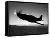 A Grumman F6F Hellcat Fighter Plane in Flight-Stocktrek Images-Framed Stretched Canvas