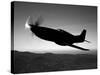 A Grumman F6F Hellcat Fighter Plane in Flight-Stocktrek Images-Stretched Canvas