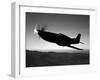 A Grumman F6F Hellcat Fighter Plane in Flight-Stocktrek Images-Framed Photographic Print